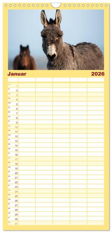 Produktbild: Familienplaner 2026 - Esel - h&uuml;bsch, klug und flei&szlig;ig mit 5 Spalten (Wandkalender, 21 x 45 cm) CALVENDO