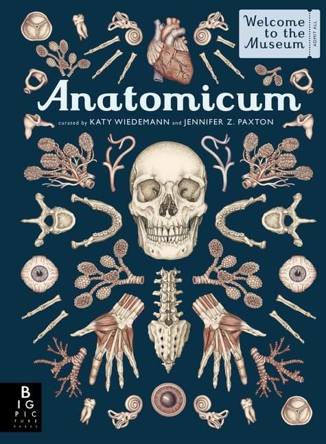 Produktbild: Anatomicum