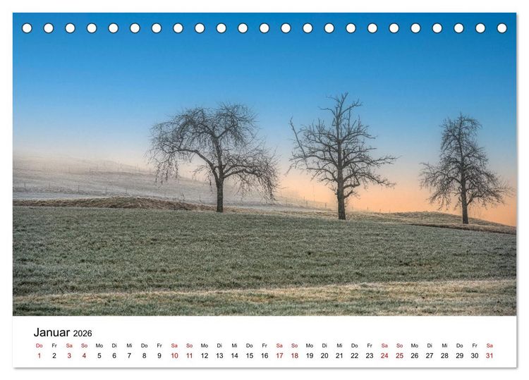 Produktbild: B&auml;ume - Wunder der Natur (Tischkalender 2026 DIN A5 quer), CALVENDO Monatskalender