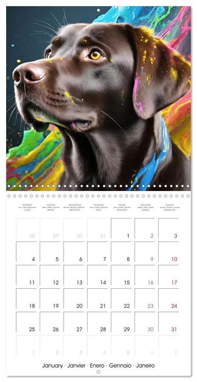 Produktbild: Colourful Splash Dogs (Wall Calendar 2027 12 &times; 12 Inch) CALVENDO 12 Month Wall Calendar