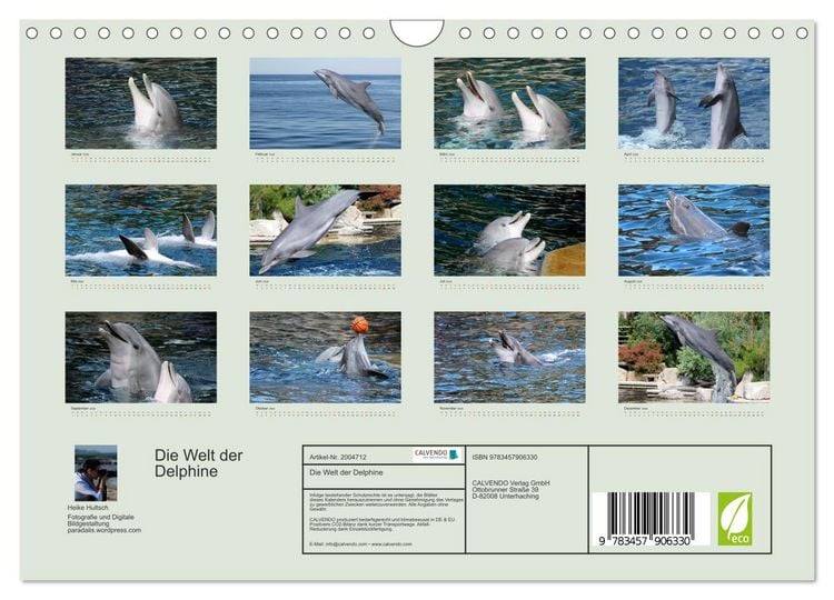 Produktbild: Die Welt der Delphine (Wandkalender 2026 DIN A4 quer), CALVENDO Monatskalender
