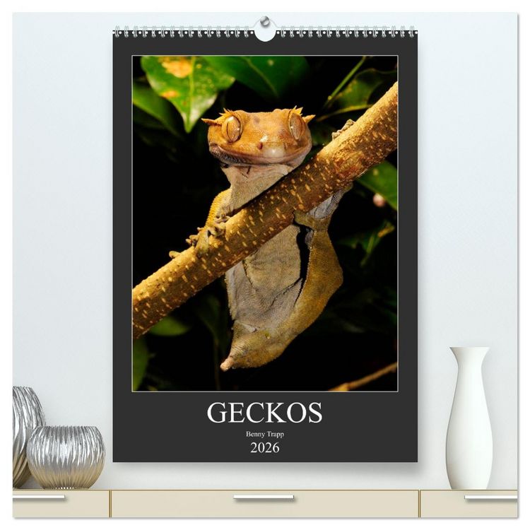 Produktbild: GECKOS (hochwertiger Premium Wandkalender 2026 DIN A2 hoch), Kunstdruck in Hochglanz