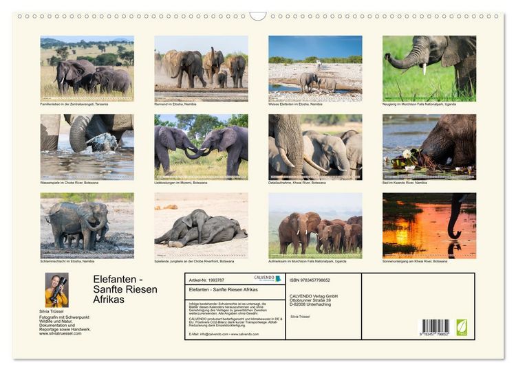 Produktbild: Elefanten - Sanfte Riesen Afrikas (Wandkalender 2026 DIN A2 quer), CALVENDO Monatskalender