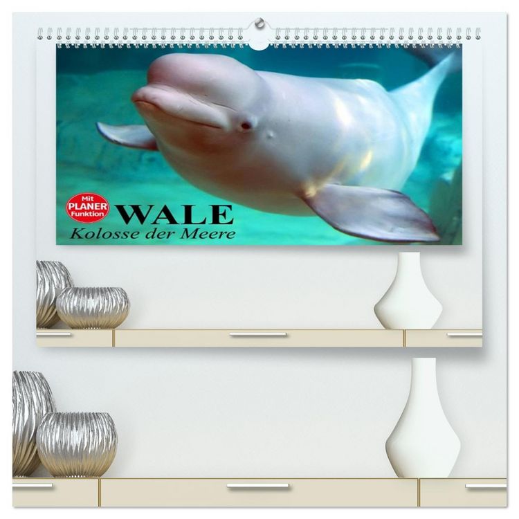 Produktbild: Wale. Kolosse der Meere (hochwertiger Premium Wandkalender 2026 DIN A2 quer), Kunstdruck in Hochglanz