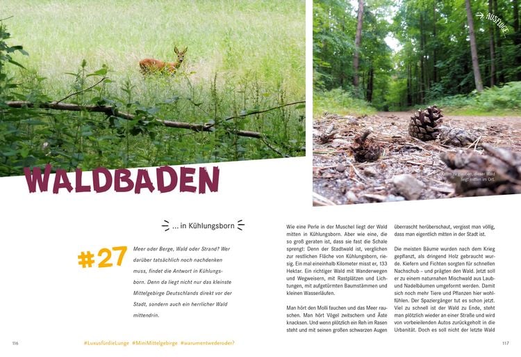 Produktbild: 52 kleine & gro&szlig;e Eskapaden in Mecklenburg-Vorpommern an der Ostsee