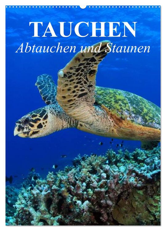 Produktbild: Tauchen - Abtauchen und Staunen (Wandkalender 2026 DIN A2 hoch), CALVENDO Monatskalender