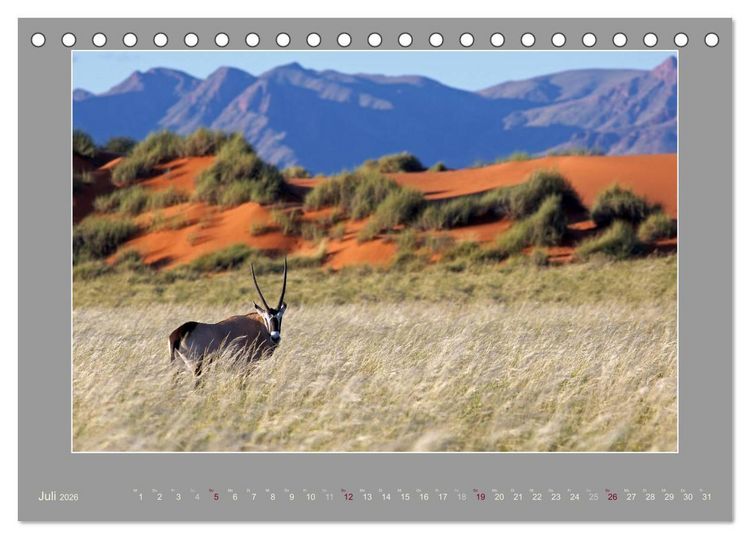 Produktbild: Namibia - Die Farben der Namib (Tischkalender 2026 DIN A5 quer), CALVENDO Monatskalender