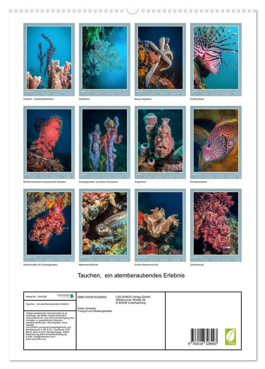 Produktbild: Tauchen, ein atemberaubendes Erlebnis (hochwertiger Premium Wandkalender 2026 DIN A2 hoch), Kunstdruck in Hochglanz