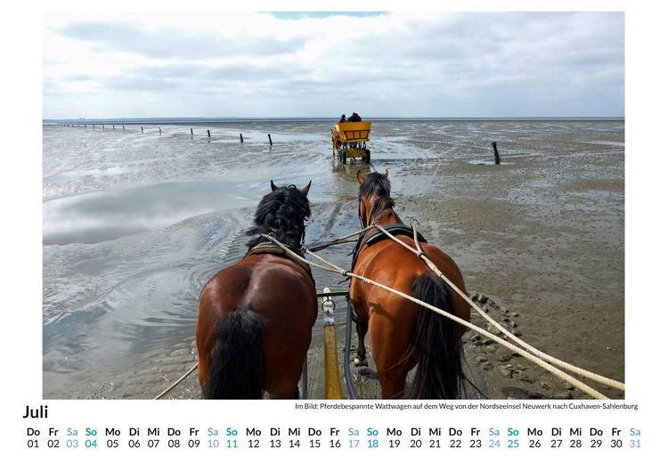 Produktbild: Hamburgisches Wattenmeer