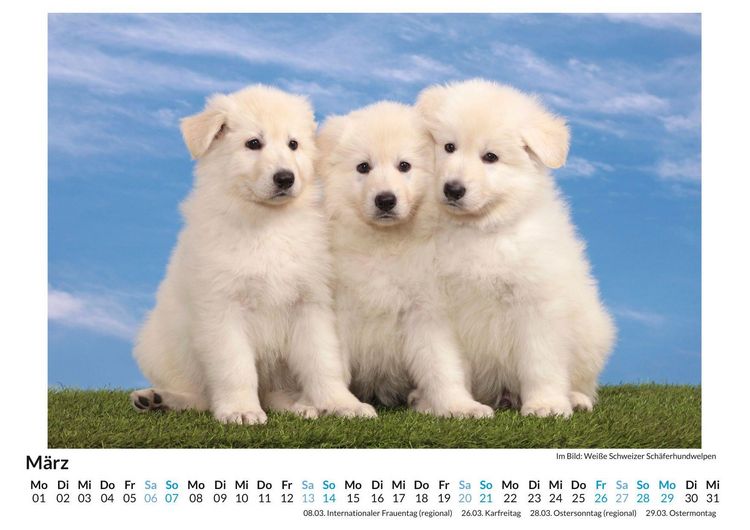 Produktbild: Berger Blanc Suisse