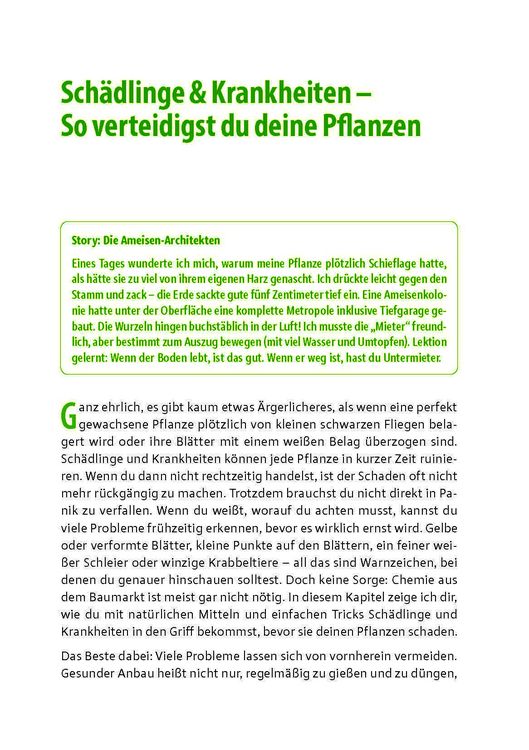 Produktbild: Cannabis zu Hause anbauen f&uuml;r Anf&auml;nger