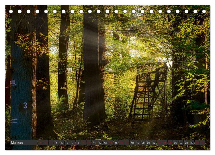 Produktbild: Landschaften unserer Heimat (Tischkalender 2026 DIN A5 quer), CALVENDO Monatskalender