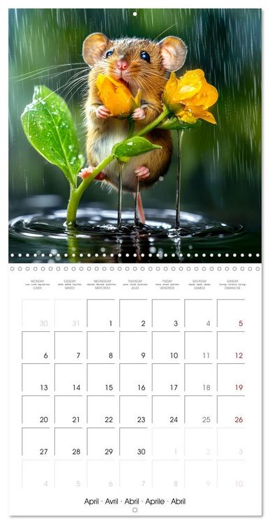 Produktbild: MOUSE MAGIC - Joyful Moments from the World of Mice (Wall Calendar 2026 12 &times; 12 Inch) CALVENDO 12 Month Wall Calendar