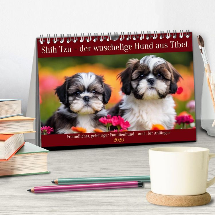 Produktbild: Shih Tzu - der wuschelige Hund aus Tibet (Tischkalender 2026 DIN A5 quer), CALVENDO Monatskalender