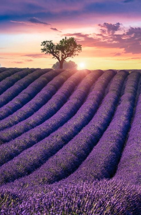 Produktbild: Madame le Commissaire und die Villa der Frauen