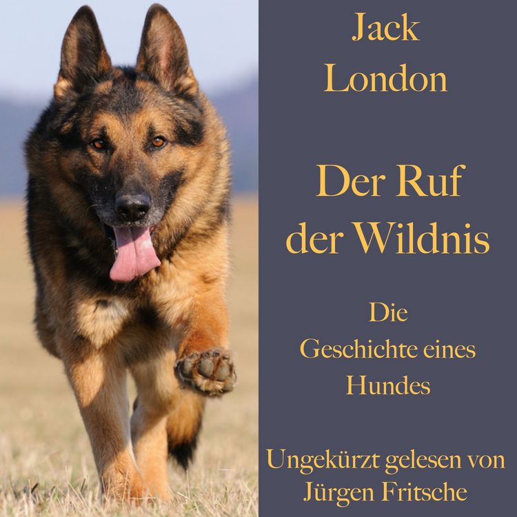 Produktbild: Jack London: Der  Ruf der Wildnis. Die Geschichte eines Hundes