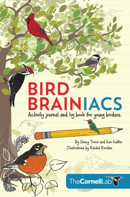 Produktbild: Bird Brainiacs