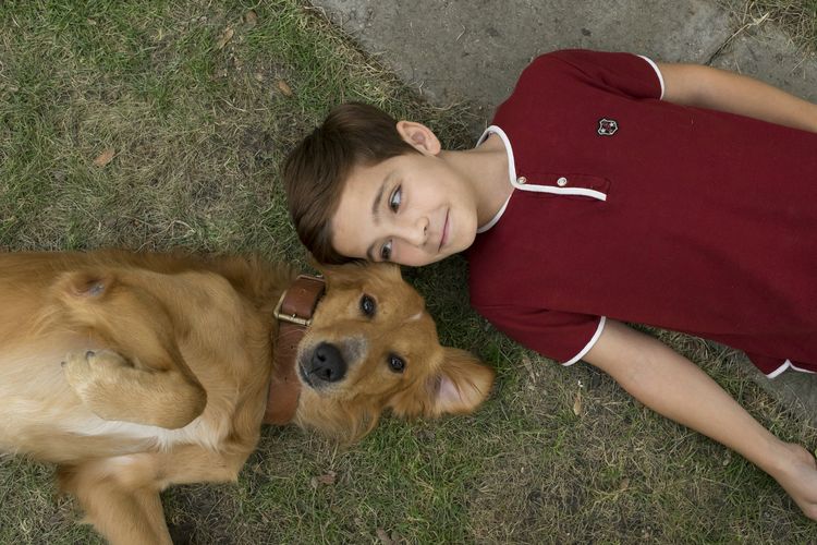 Produktbild: Bailey - Ein Freund f&uuml;rs Leben