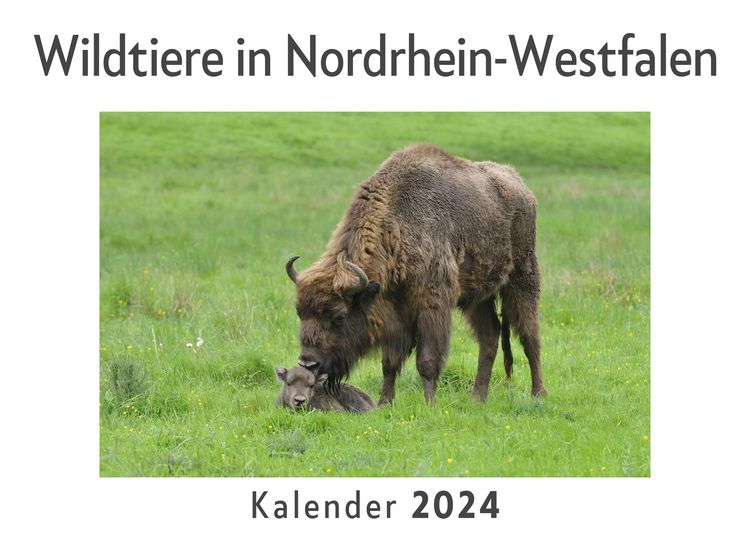 Produktbild: Wildtiere in Nordrhein-Westfalen (Wandkalender 2024, Kalender DIN A4 quer, Monatskalender im Querformat mit Kalendarium, Das perfekte Geschenk)