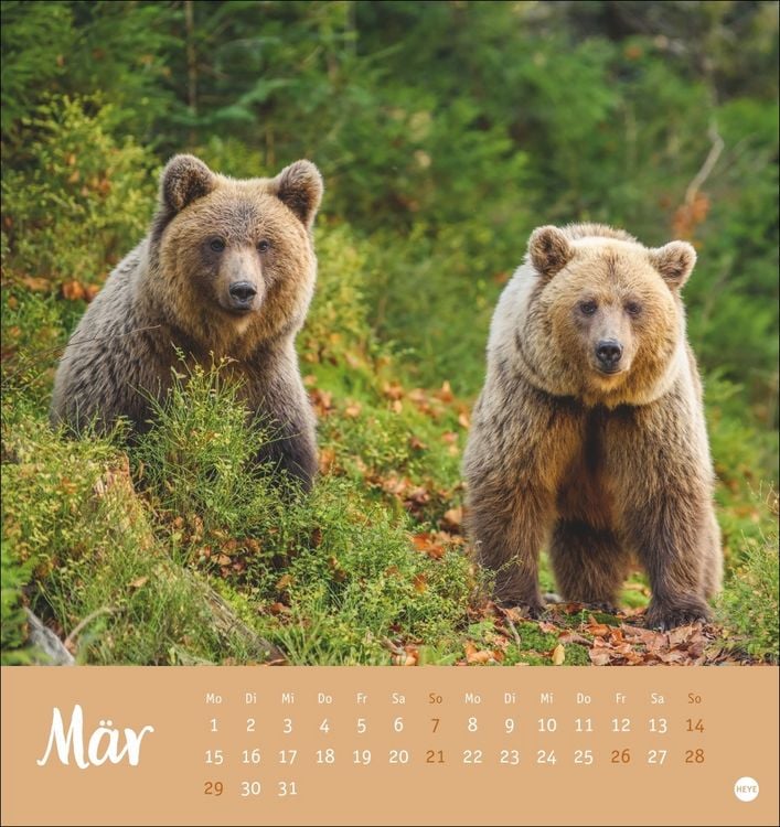 Produktbild: B&auml;renstark Postkartenkalender 2027