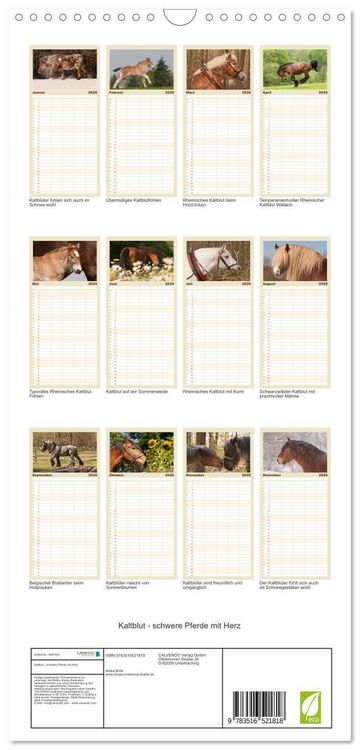 Produktbild: Familienplaner 2026 - Kaltblut - schwere Pferde mit Herz mit 5 Spalten (Wandkalender, 21 x 45 cm) CALVENDO