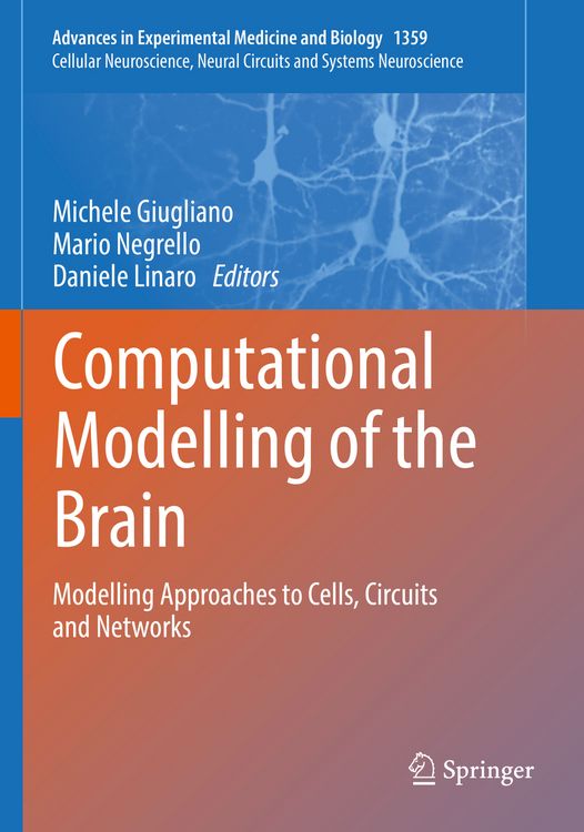 Produktbild: Computational Modelling of the Brain
