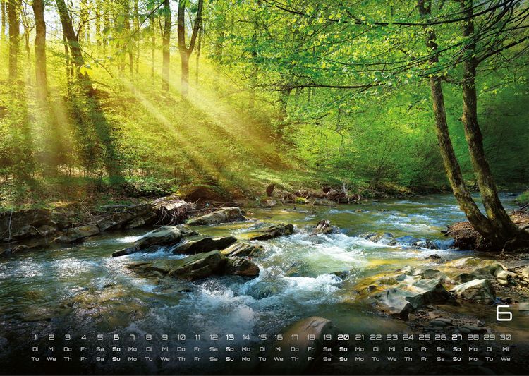 Produktbild: Wald - Erholung f&uuml;r Mensch und Tier - 2027 - Kalender DIN A3
