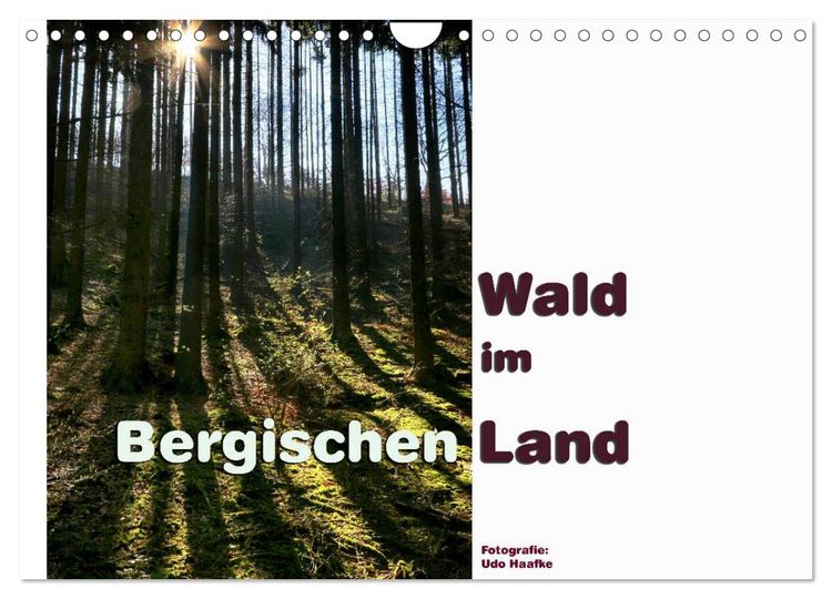 Produktbild: Wald im Bergischen Land 2026 (Wandkalender 2026 DIN A4 quer), CALVENDO Monatskalender