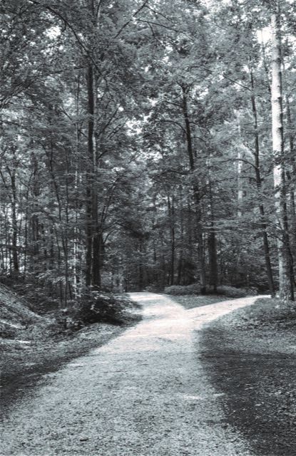 Produktbild: Andachten f&uuml;r zu Hause