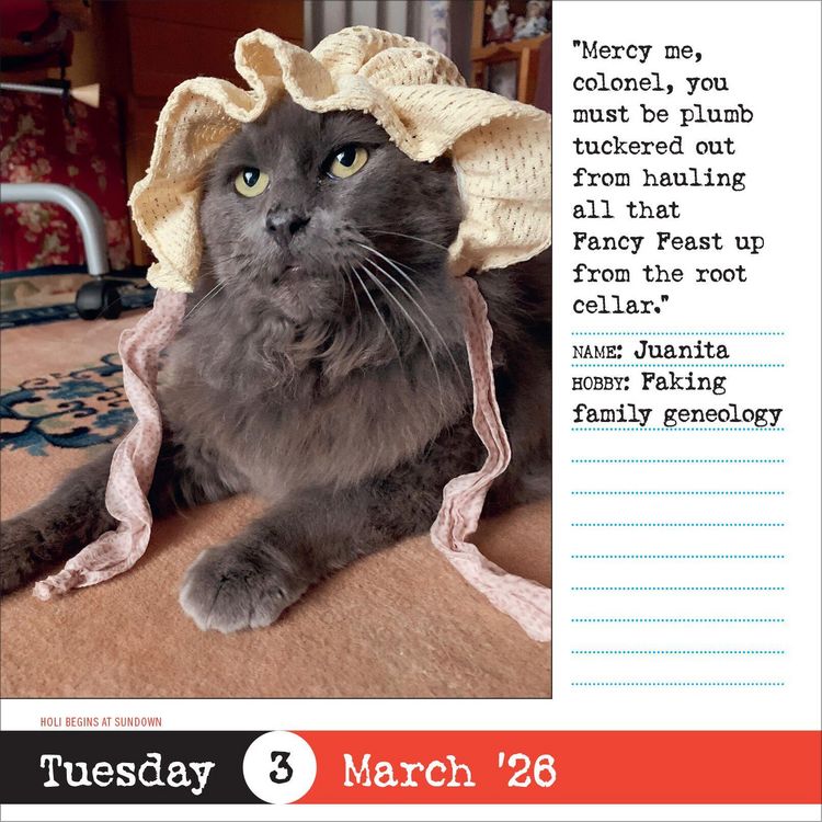 Produktbild: Bad Cat Page-A-Day(r) Calendar 2026