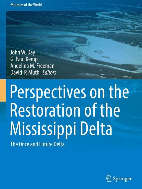 Produktbild: Perspectives on the Restoration of the Mississippi Delta