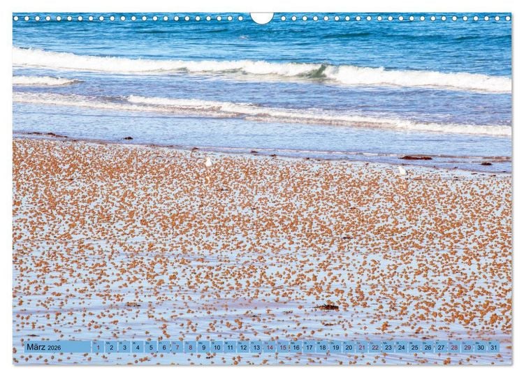 Produktbild: Bretagne und Normandie - Vor der Flut beobachten und entdecken (Wandkalender 2026 DIN A3 quer), CALVENDO Monatskalender