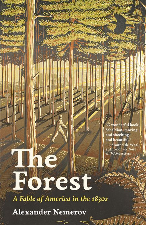 Produktbild: The Forest