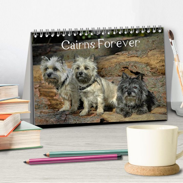 Produktbild: Cairns Forever (Tischkalender 2026 DIN A5 quer), CALVENDO Monatskalender