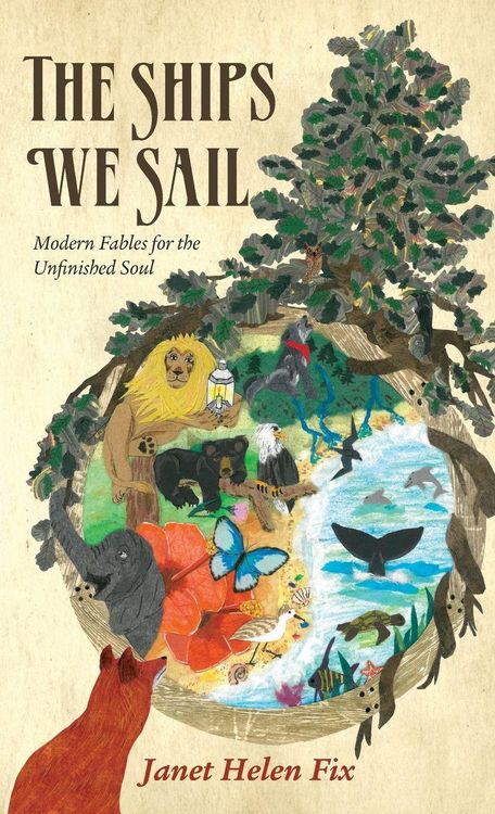 Produktbild: The Ships We Sail