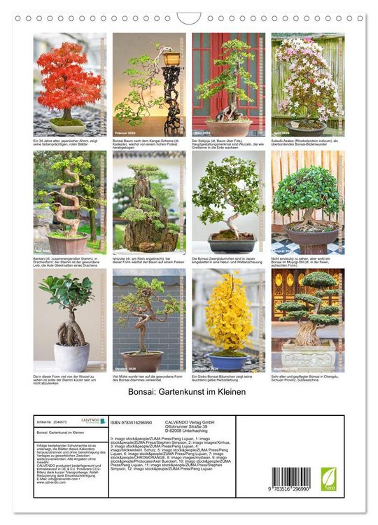 Produktbild: Bonsai: Gartenkunst im Kleinen (Wandkalender 2026 DIN A3 hoch), CALVENDO Monatskalender