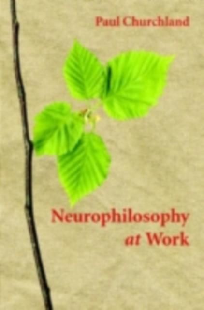 Produktbild: Neurophilosophy at Work