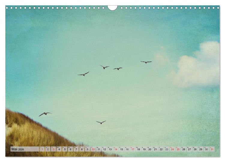 Produktbild: AMRUM Art (Wandkalender 2026 DIN A3 quer), CALVENDO Monatskalender