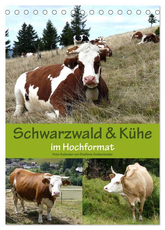 Produktbild: Schwarzwald und K&uuml;he im Hochformat (Tischkalender 2027 DIN A5 hoch), CALVENDO Monatskalender