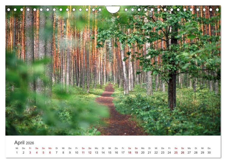 Produktbild: Litauen - Eine unvergessliche Reise ins Baltikum. (Wandkalender 2026 DIN A4 quer), CALVENDO Monatskalender