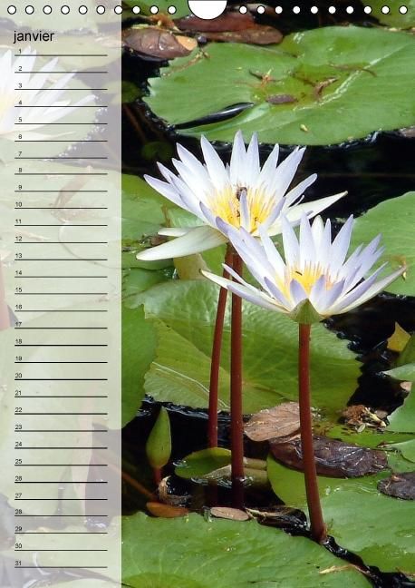 Produktbild: Blank, R: Fleurs tropicales / calendrier anniversaire (Calen