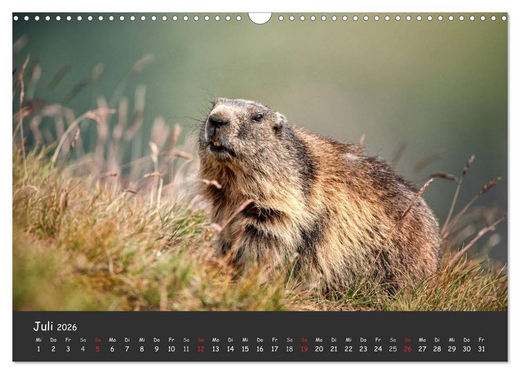 Produktbild: Am Gro&szlig;glockner (Wandkalender 2026 DIN A3 quer), CALVENDO Monatskalender