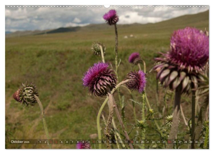 Produktbild: Mongolei - weites Land (Wandkalender 2026 DIN A2 quer), CALVENDO Monatskalender