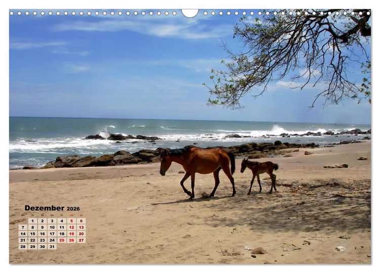 Produktbild: Nicaraguas faszinierende Flora & Fauna (Wandkalender 2026 DIN A3 quer), CALVENDO Monatskalender