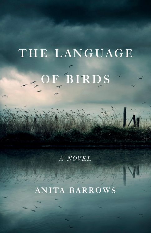 Produktbild: The Language of Birds