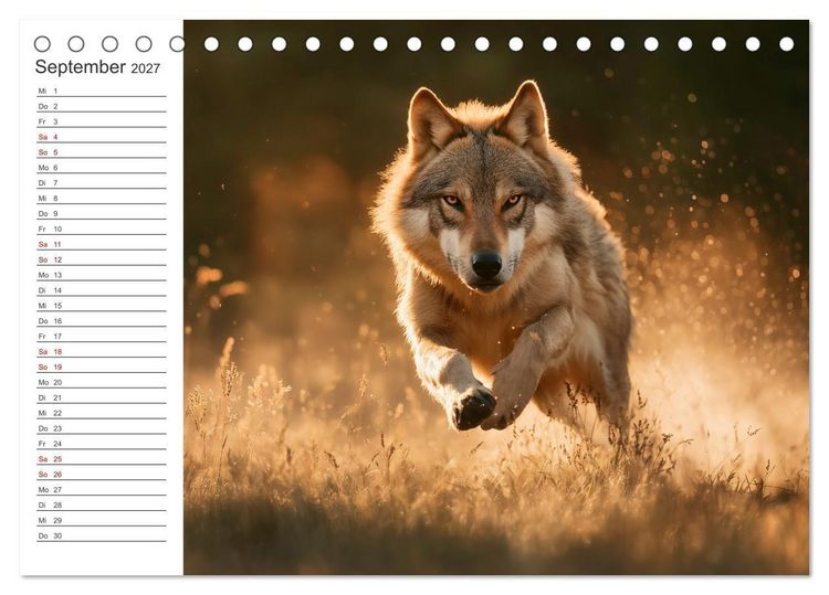 Produktbild: Die Seele der Wildnis (Tischkalender 2027 DIN A5 quer), CALVENDO Monatskalender