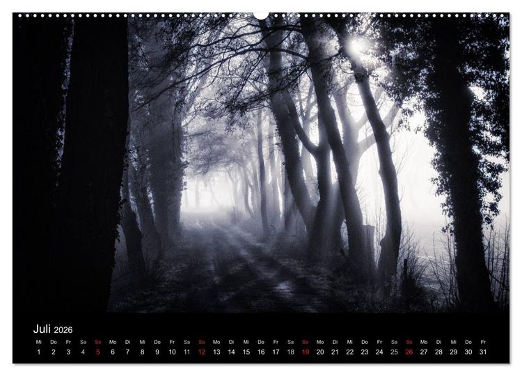 Produktbild: Mystische W&auml;lder (hochwertiger Premium Wandkalender 2026 DIN A2 quer), Kunstdruck in Hochglanz