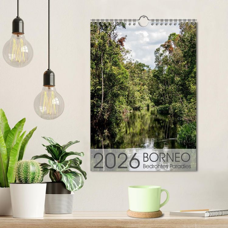 Produktbild: BORNEO Bedrohtes Paradies (Wandkalender 2026 DIN A4 hoch), CALVENDO Monatskalender
