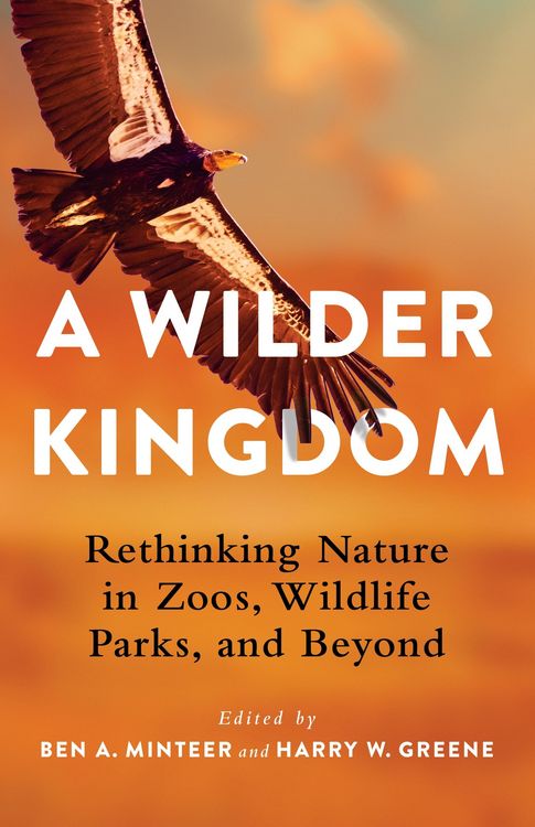 Produktbild: A Wilder Kingdom