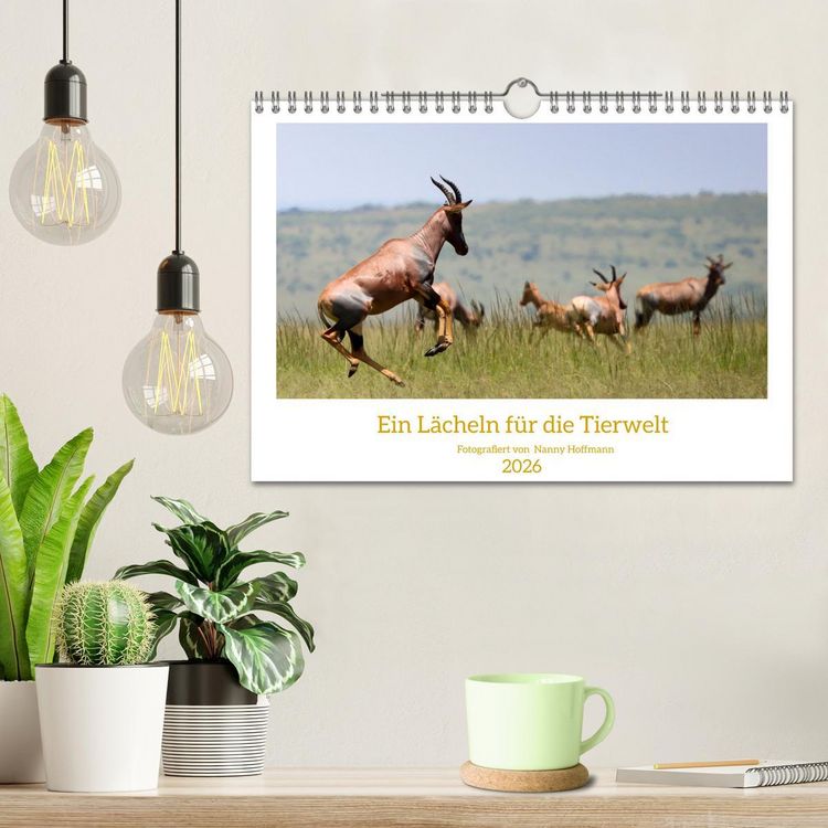 Produktbild: Ein L&auml;cheln f&uuml;r die Tierwelt (Wandkalender 2026 DIN A4 quer), CALVENDO Monatskalender